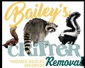 Bailey's Critter Removal