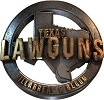 Villarreal & Begum, Texas Law Guns
